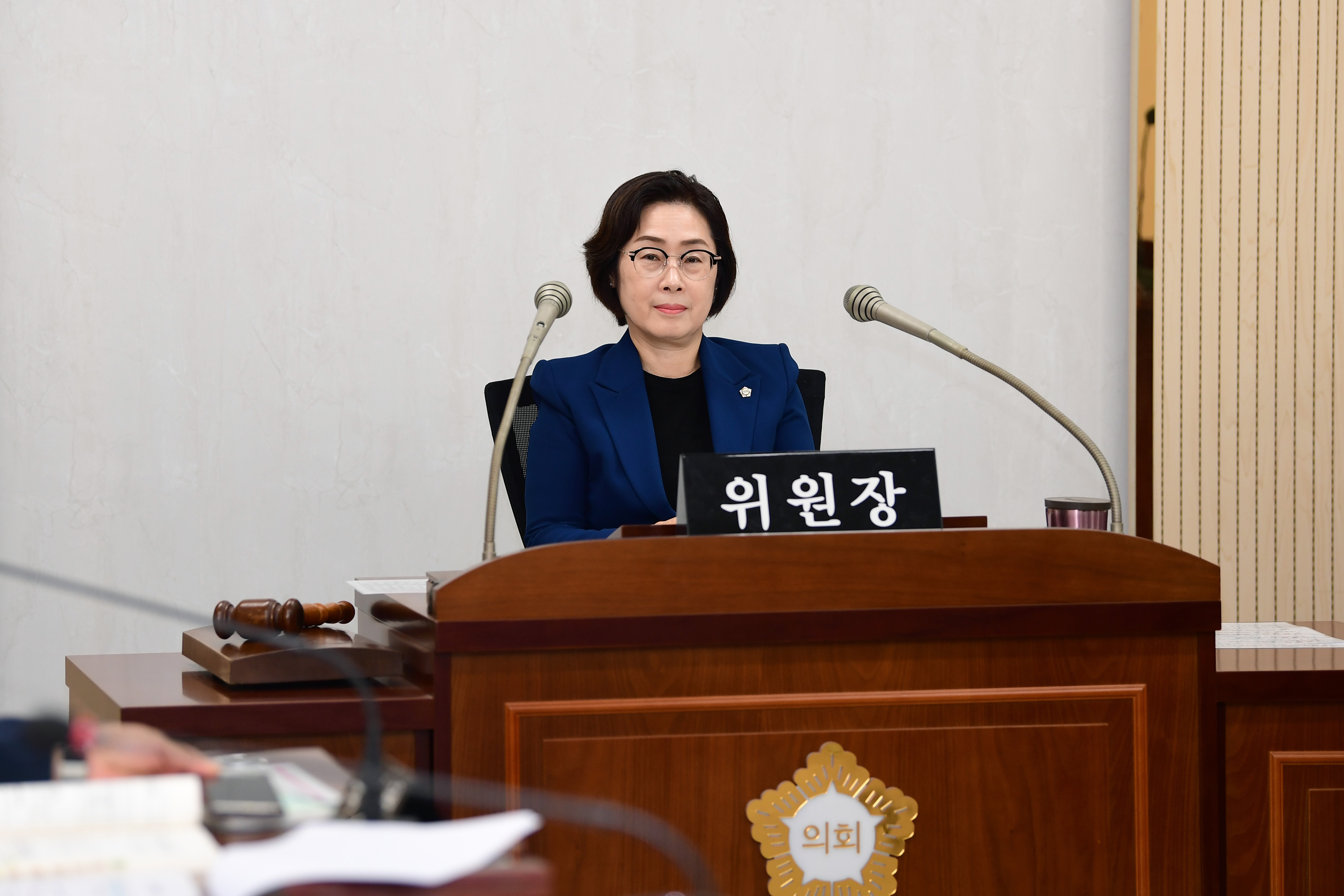 제300회 임시회 시민안전위원회 회의  첨부이미지 : 20251027 제300회 임시회 시민안전위원회 회의(행정사무처리사황 청취) (3).jpg