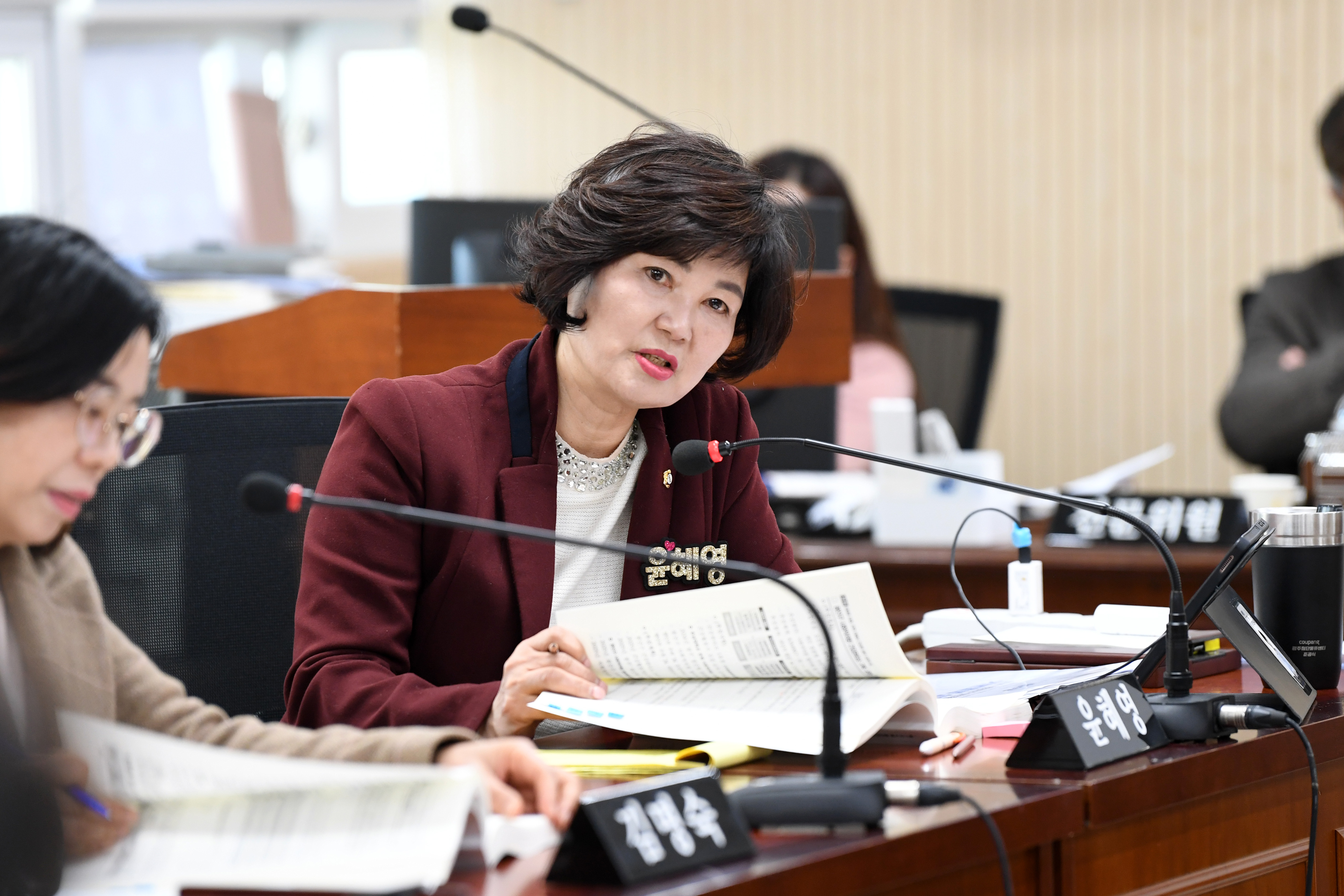 제294회 임시회 경제복지위원회 회의 첨부이미지 : 20250219 제294회 임시회 경제복지위원회 회의('25 업무계획청취) (16).jpg