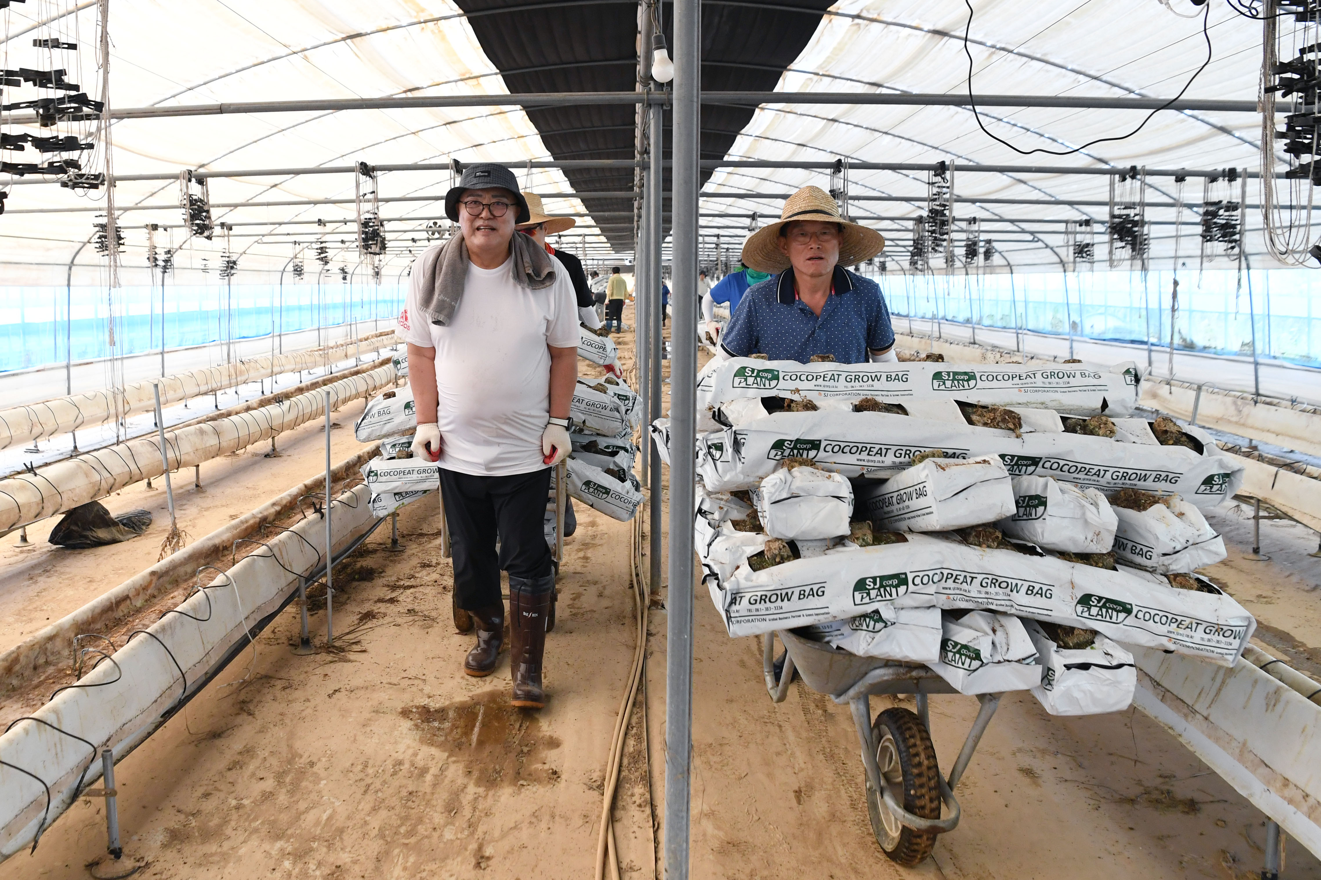광산구의회, 집중호우 피해 농가 복구에 발 벗고 나서 첨부이미지 : 2-1_20250723_광산구의회, 집중호우 피해 농가 복구에 발 벗고 나서.jpg
