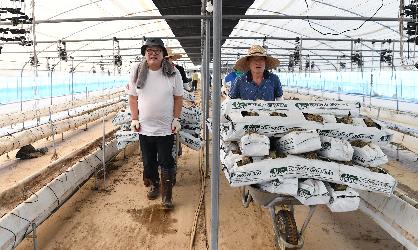 광산구의회, 집중호우 피해 농가 복구에 발 벗고 나서